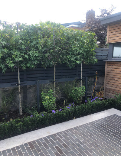 D4 Conservation | JM Stenson Construction