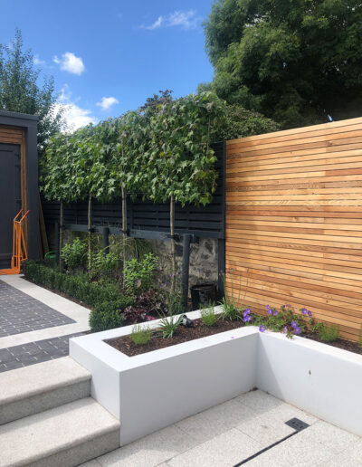 D4 Conservation | JM Stenson Construction
