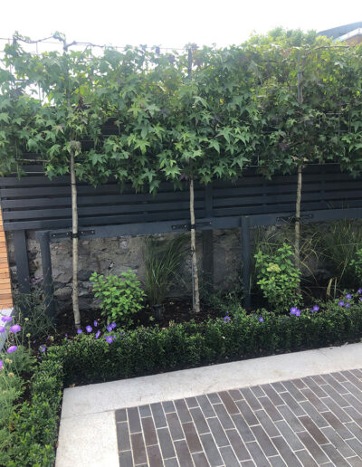 D4 Conservation | JM Stenson Construction